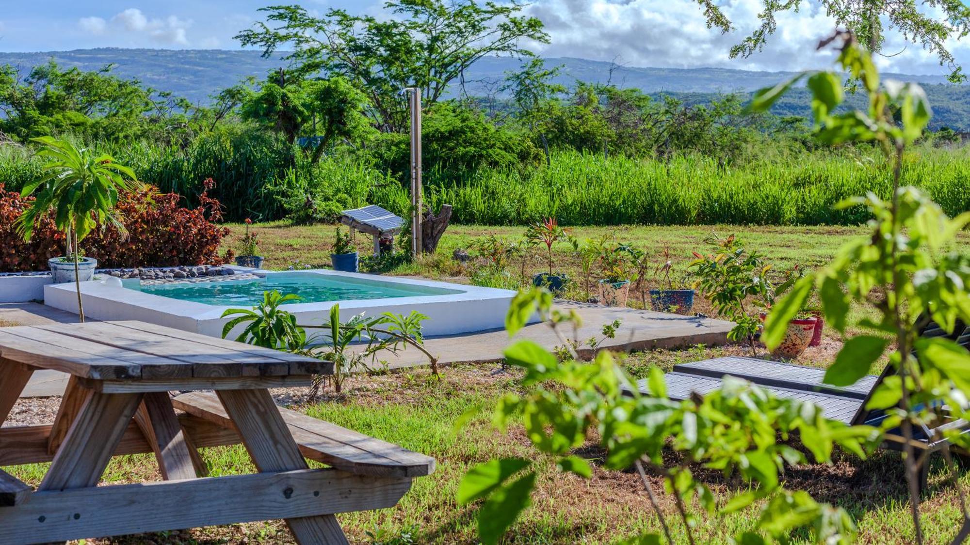 Cashaw Cabin - Private Retreat With A Pool Treasure Beach Extérieur photo