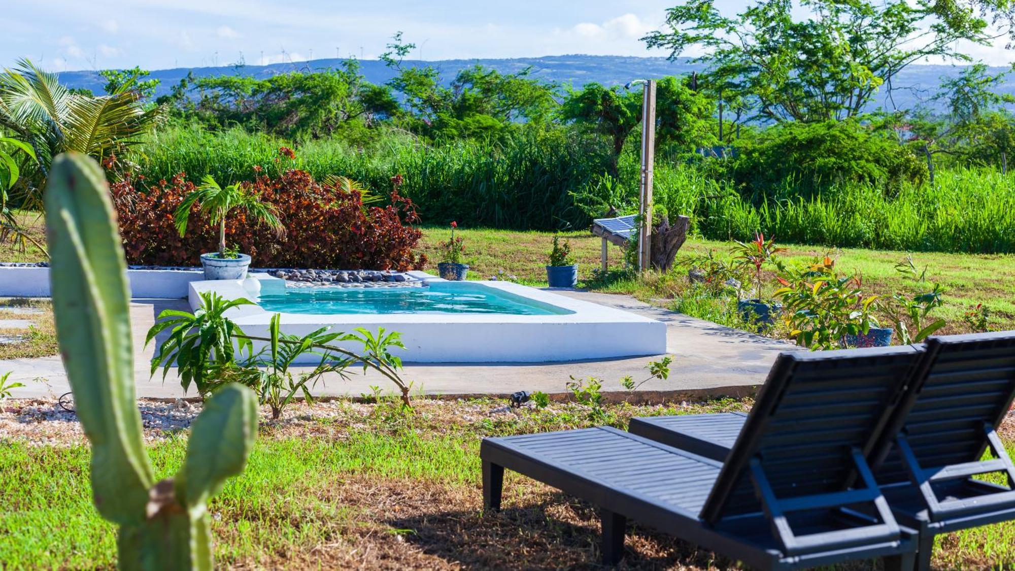 Cashaw Cabin - Private Retreat With A Pool Treasure Beach Extérieur photo